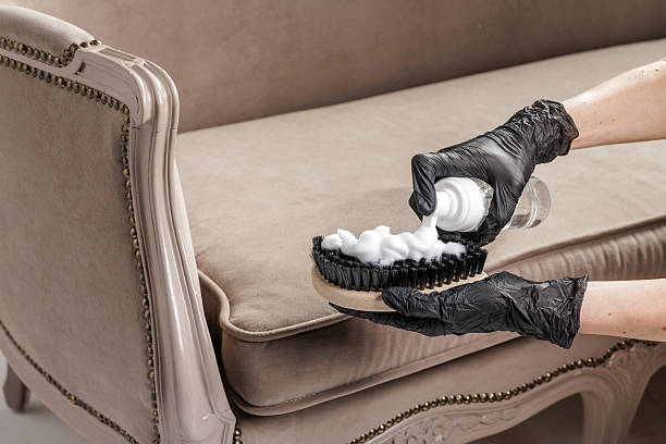 Gloved cleaner applies foaming detergent to brush for upholstery sofa stain removal, ideal for cleaning service website or ad banner.